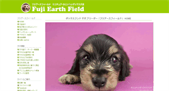 Desktop Screenshot of fuji-ef.com