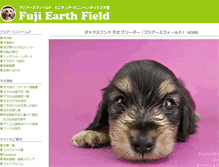 Tablet Screenshot of fuji-ef.com